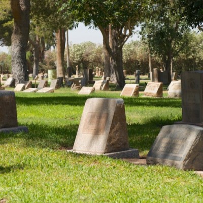 Tombstones sitting under a large tree